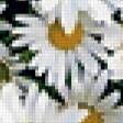 Preview of cross stitch pattern: #370755