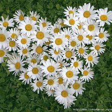 Cross stitch pattern: #370755
