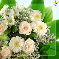 Cross stitch pattern: #370757
