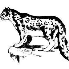 Cross stitch pattern: #371582