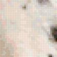 Preview of cross stitch pattern: #371709