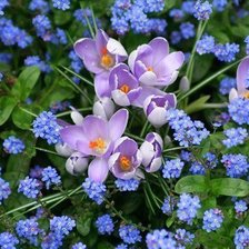 Cross stitch pattern: #371711