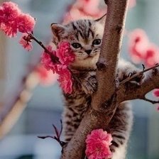 Cross stitch pattern: #372236
