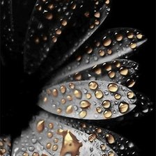 Cross stitch pattern: #372240