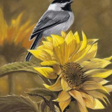 Cross stitch pattern: #372560