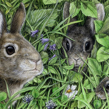 Cross stitch pattern: #372977
