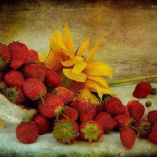 Cross stitch pattern: #372979