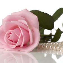 Cross stitch pattern: #372999