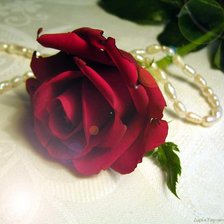 Cross stitch pattern: #373010
