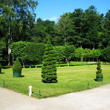 Cross stitch pattern: #373344