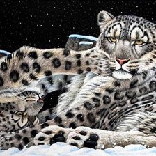 Cross stitch pattern: #373923