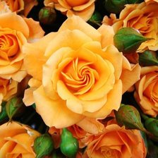 Cross stitch pattern: #374409