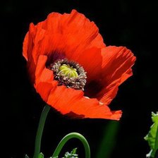 Cross stitch pattern: #375397