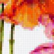 Preview of cross stitch pattern: #375510