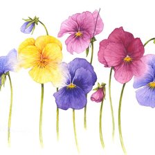 Cross stitch pattern: #375519