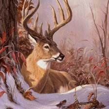 Cross stitch pattern: #375658