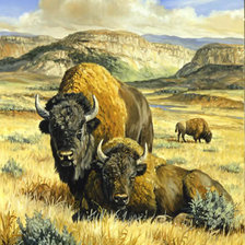 Cross stitch pattern: #375661