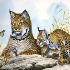 Cross stitch pattern: #375662