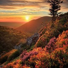 Cross stitch pattern: #376377