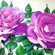 Cross stitch pattern: #376502