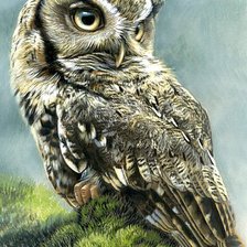 Cross stitch pattern: #376506