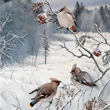 Cross stitch pattern: #376731