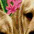 Preview of cross stitch pattern: #376734