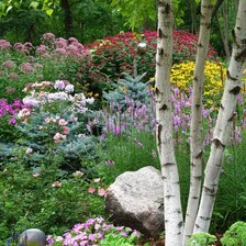 Cross stitch pattern: #378006