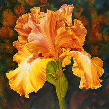 Cross stitch pattern: #378061