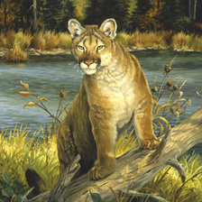 Cross stitch pattern: #379841