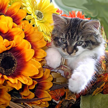 Cross stitch pattern: #379949