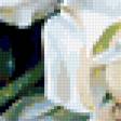 Preview of cross stitch pattern: #379953