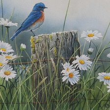 Cross stitch pattern: #380371