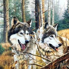 Cross stitch pattern: #380388