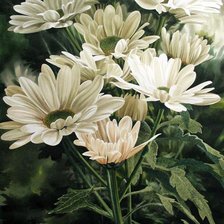 Cross stitch pattern: #380453