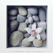 Cross stitch pattern: #380602