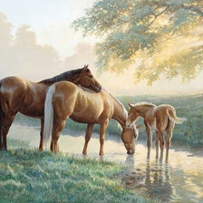 Cross stitch pattern: #380617