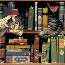 Cross stitch pattern: #380623