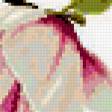 Preview of cross stitch pattern: #381518
