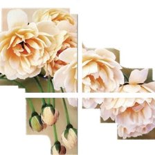 Cross stitch pattern: #381544