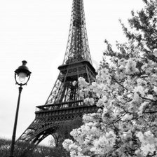 Cross stitch pattern: #381821