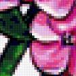 Preview of cross stitch pattern: #382425