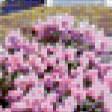 Preview of cross stitch pattern: #382796