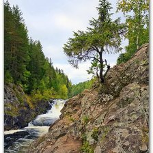 Cross stitch pattern: #383063