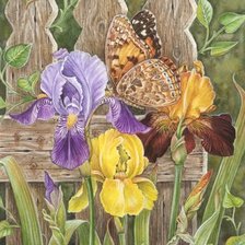 Cross stitch pattern: #384002