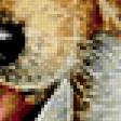 Preview of cross stitch pattern: #384004