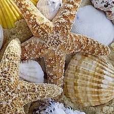 Cross stitch pattern: #384152