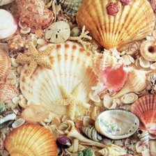 Cross stitch pattern: #384155