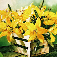 Cross stitch pattern: #384405