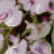 Preview of cross stitch pattern: #384887